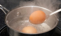 Как правильно варить яйца?