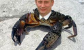 Почему Путин - краб, Медведев - шмель, а Ленин - гриб?