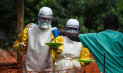 8 фактов о лихорадке Эбола