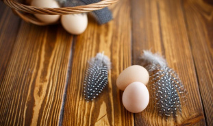 Химический состав и полезные свойства яиц цесарки, противопоказания, советы покупателям