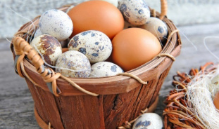 Какие существуют нормы употребления в пищу куриных и перепелиных яиц?