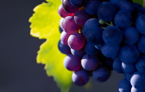 Красивый виноград