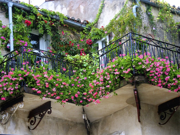 Угловой балкон в цветах