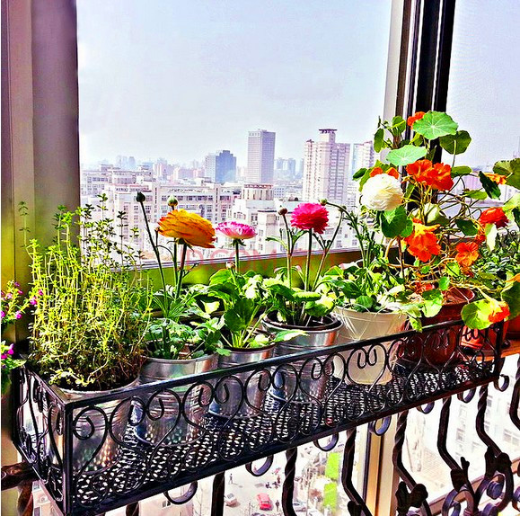 Цветы и вид из балкона