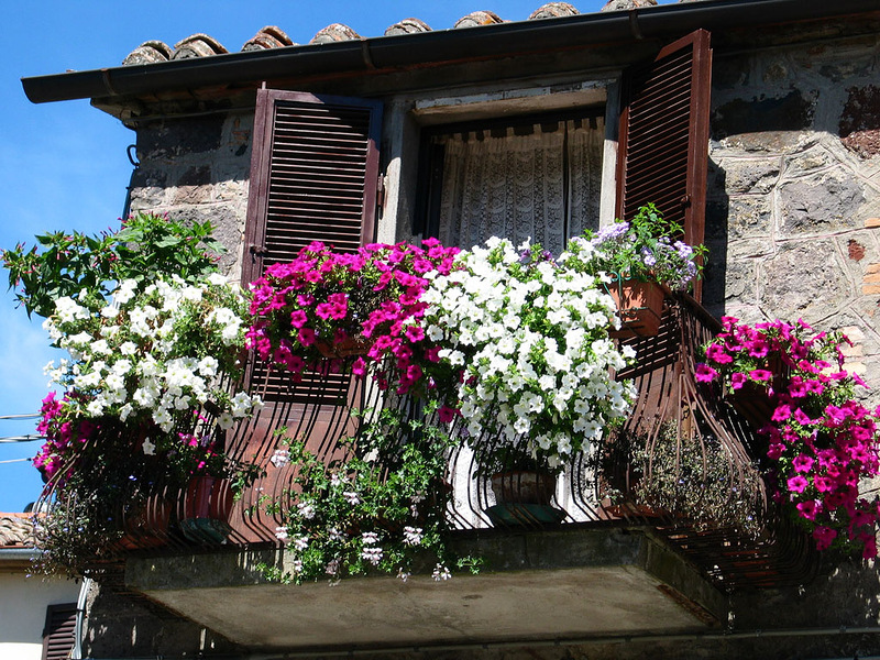 Цветы на балконе старого дома